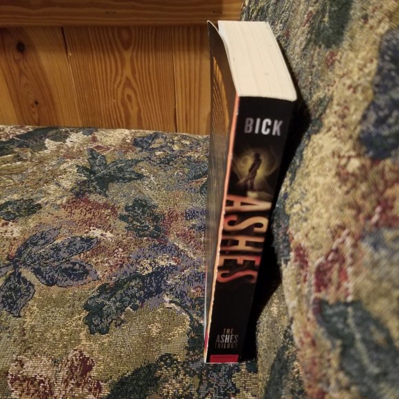 YA novel, Ashes by Ilsa J. Bick, horror, dystopian fiction, Carolrhoda Lab - Picture 3 of 3